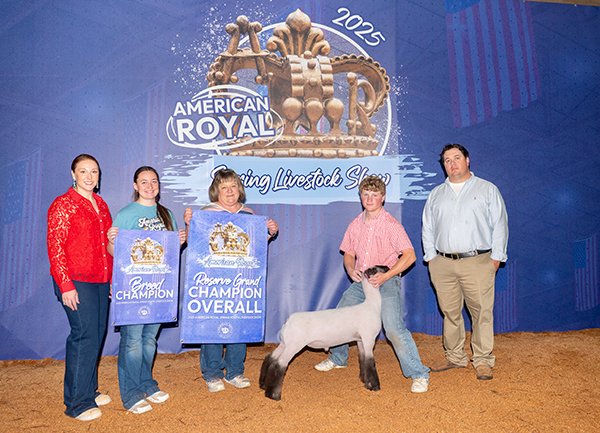 Reserve Grand Champion Prospect, American Royal Spring Show Livestock Show Reserve Grand Champion Prospect, American Royal Spring Show Livestock Show