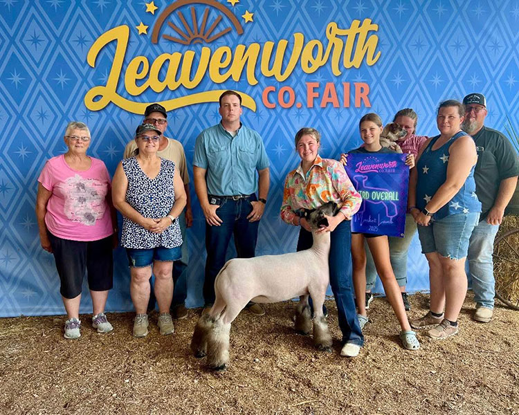 Third Over All Market Lamb, Leavenworth County Fair - Kansas Third Over All Market Lamb, Leavenworth County Fair - Kansas