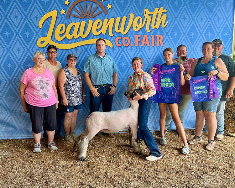 Grand Champion Market Lamb, Leavenworth County Fair - Kansas Grand Champion Market Lamb, Leavenworth County Fair - Kansas