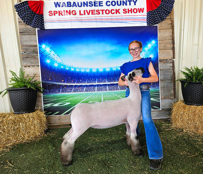 Third Supreme Ewe, Wabaunsee County Spring Livestock Show - Kansas Third Supreme Ewe, Wabaunsee County Spring Livestock Show - Kansas
