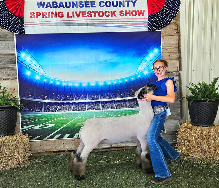 Champion Hamp and Fifth Supreme Market Lamb, Wabaunsee County Spring Livestock Show - Kansas Champion Hamp and Fifth Supreme Market Lamb, Wabaunsee County Spring Livestock Show - Kansas