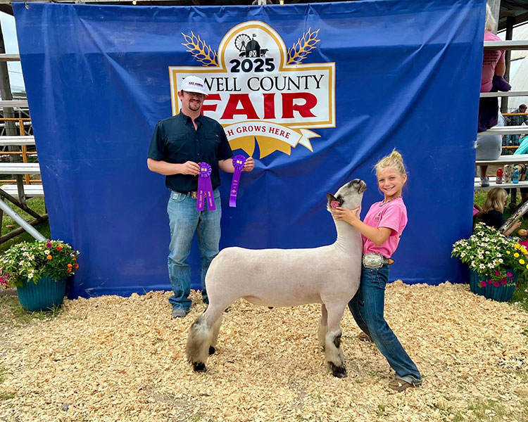 Grand Champion Market Lamb, Jewell County Fair - Kansas Grand Champion Market Lamb, Jewell County Fair - Kansas