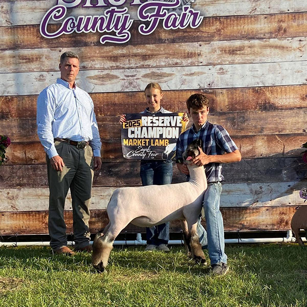 Reserve Grand Market Lamb, Sauk County Fair - Iowa Reserve Grand Market Lamb, Sauk County Fair - Iowa