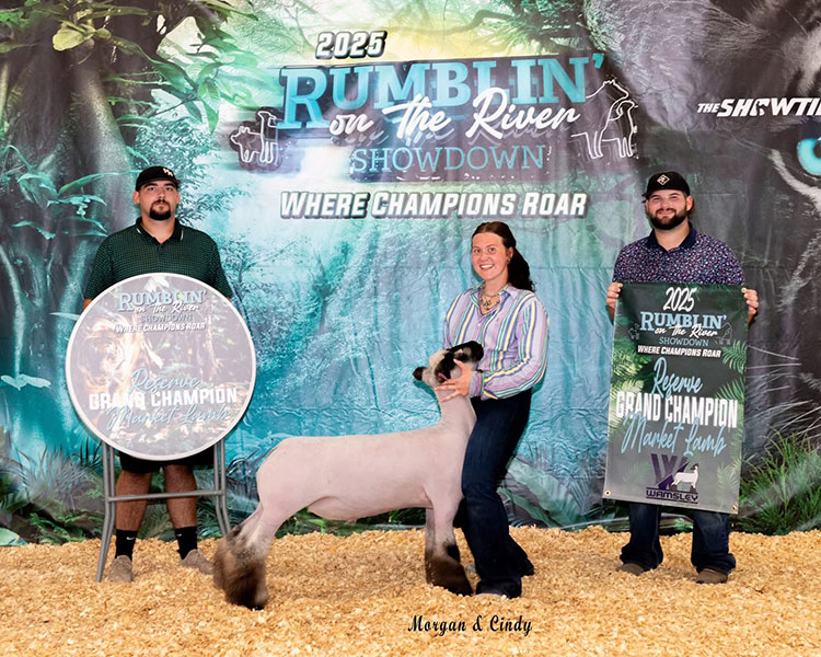 Reserve Grand market lamb, Rumblin' on the River - Illinois Reserve Grand market lamb, Rumblin' on the River - Illinois