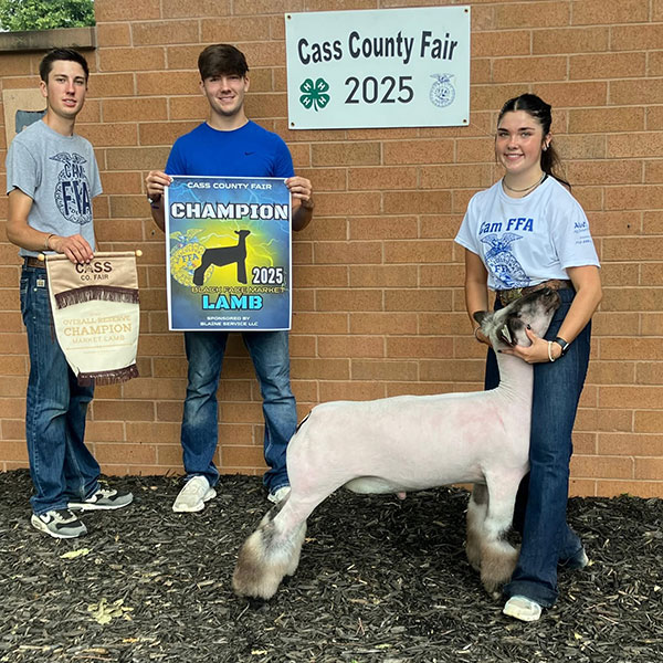 Reserve Grand Market Lamb, Cass County Fair - Iowa Reserve Grand Market Lamb, Cass County Fair - Iowa